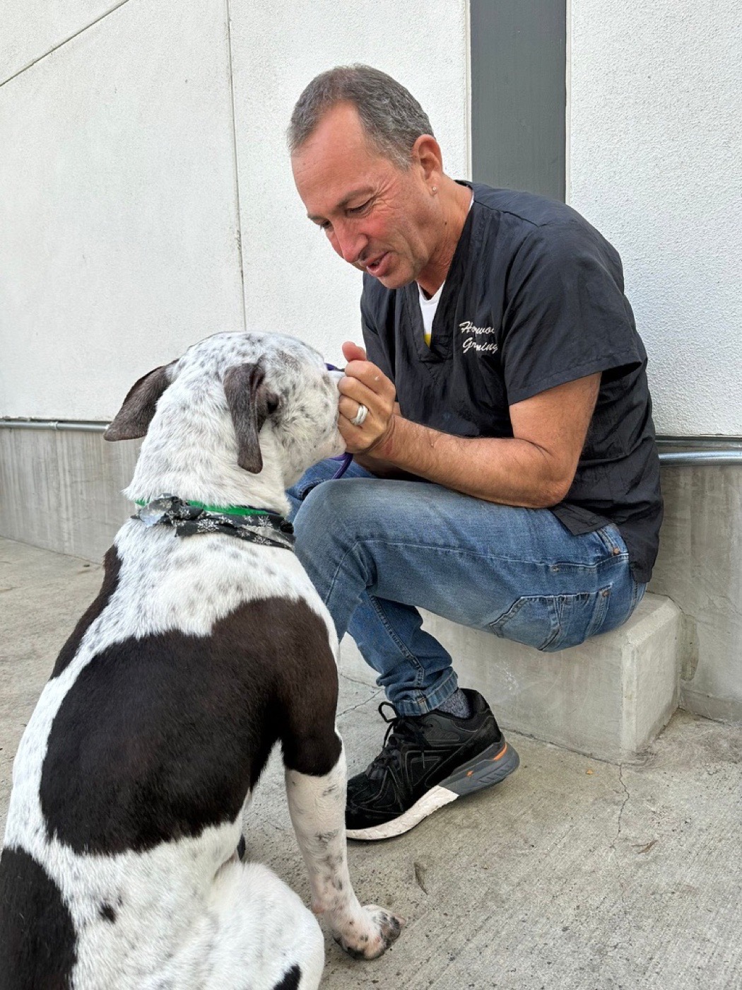 Foundation co-founder Chuck kneeling on a Los Angeles sidewalk, sharing a quiet moment with a pit bull mix during one of our street-day events