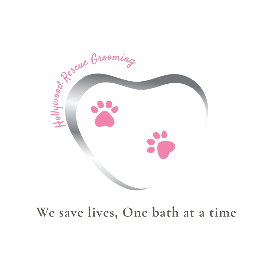 Hollywood Rescue Grooming Foundation
